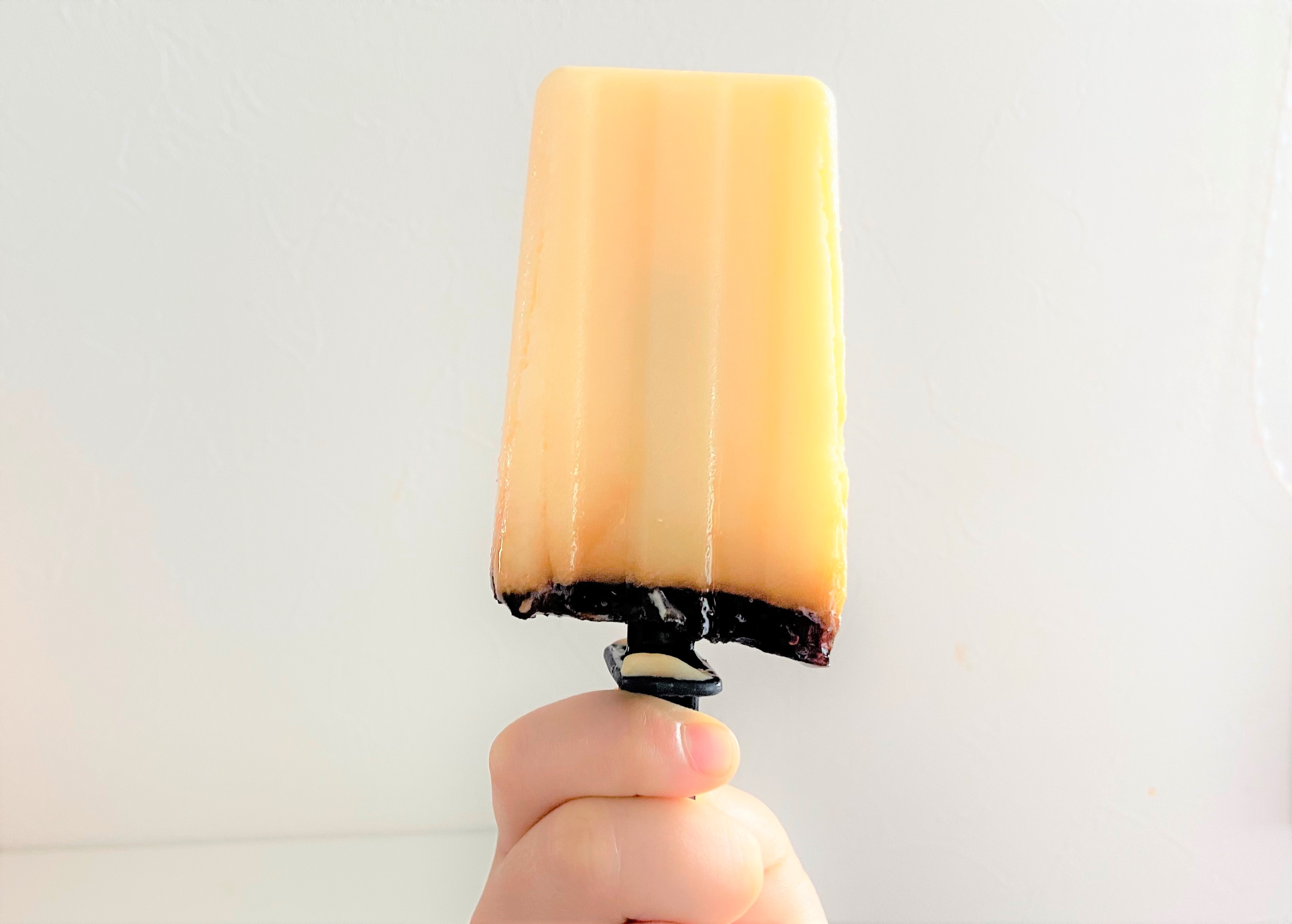 プリンミクスは子供でも簡単 卵なし豆乳プリンアイスの作り方 こども ママ 元気